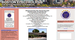 Desktop Screenshot of bostonelectrolysis.com